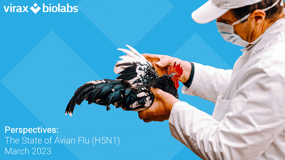The State of Avian Flu, H5N1, March 2023