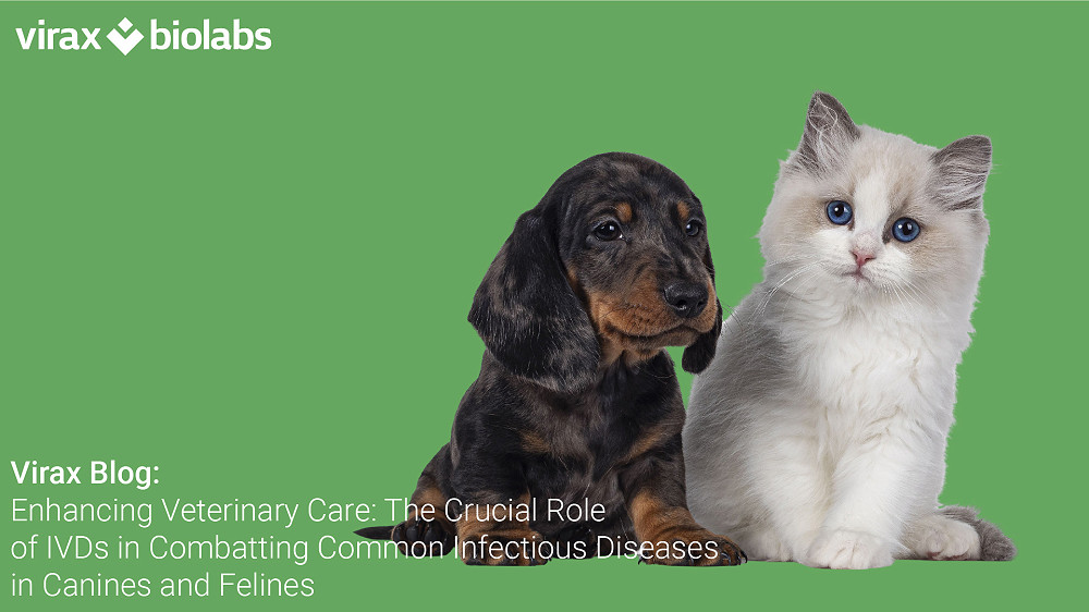 Enhancing Veterinary Care: The Crucial Role of IVDs in Combatting Common Infectious Diseases in Canines and Felines